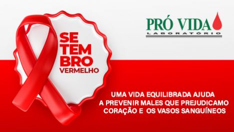 noticias principal