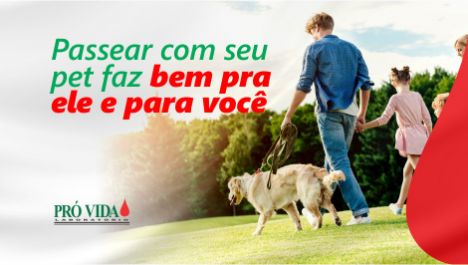 Imagem Noticia