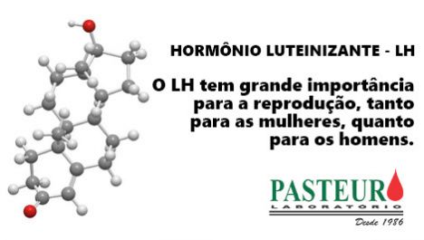 Imagem Noticia